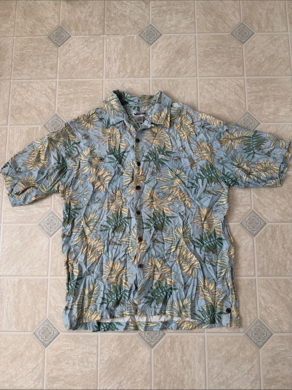 Visitor Button Down